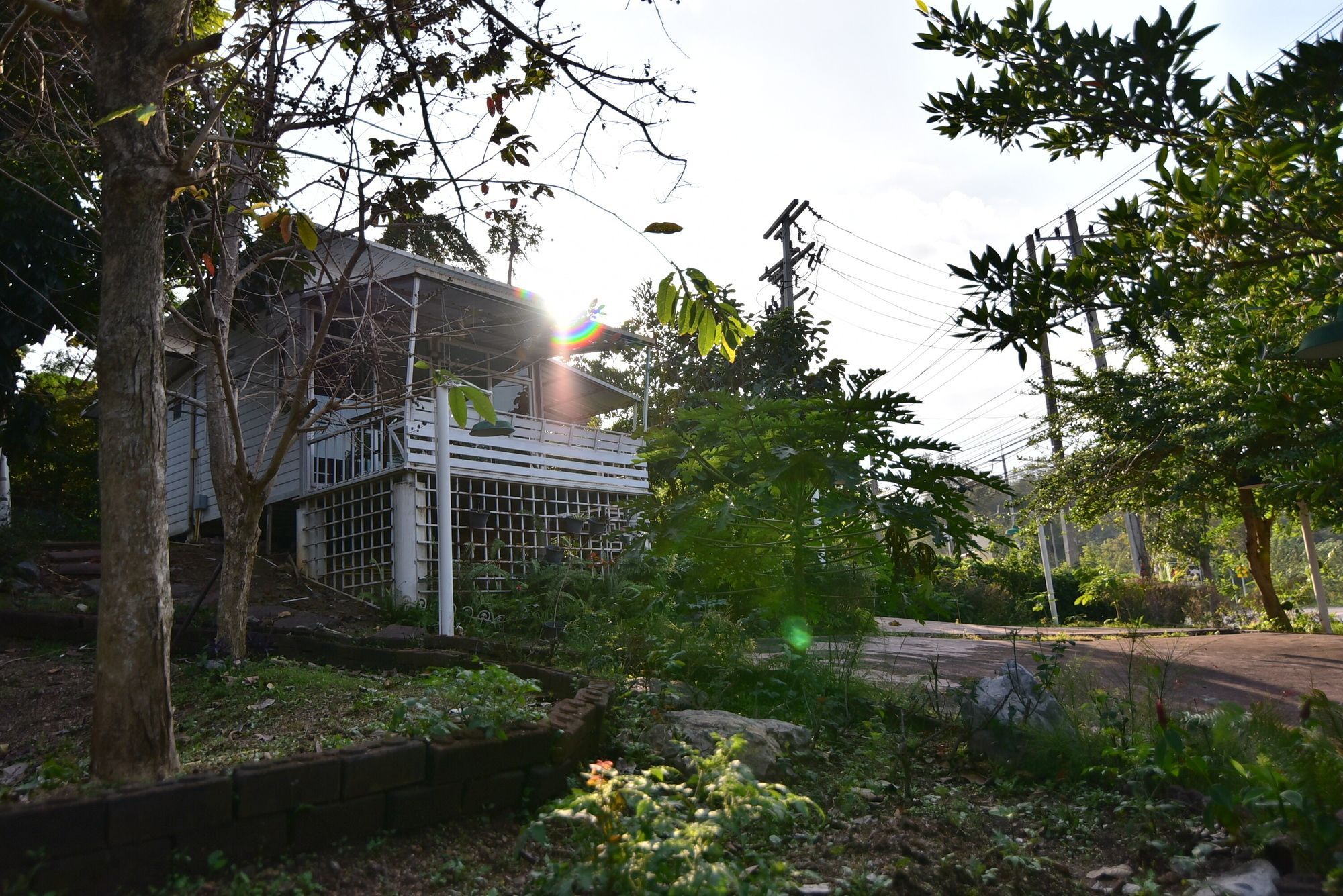 Bambusa Nakhonratchasima Exteriér fotografie
